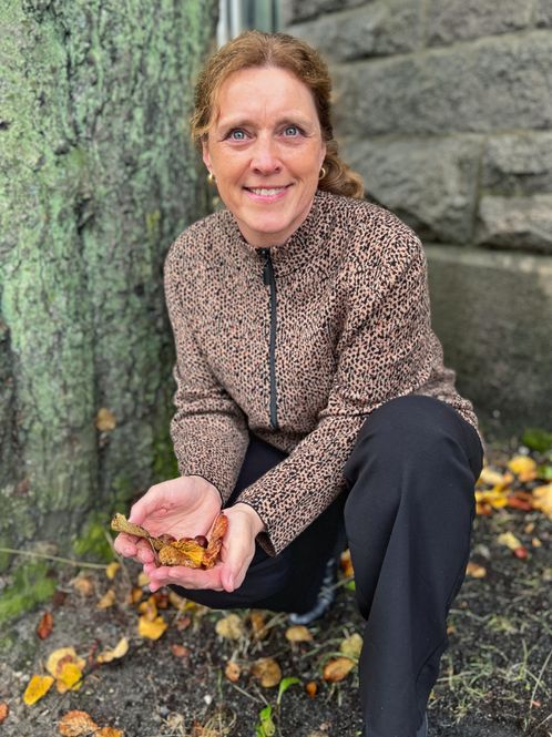 Hovedbilde Kjersti strikkejakke leo